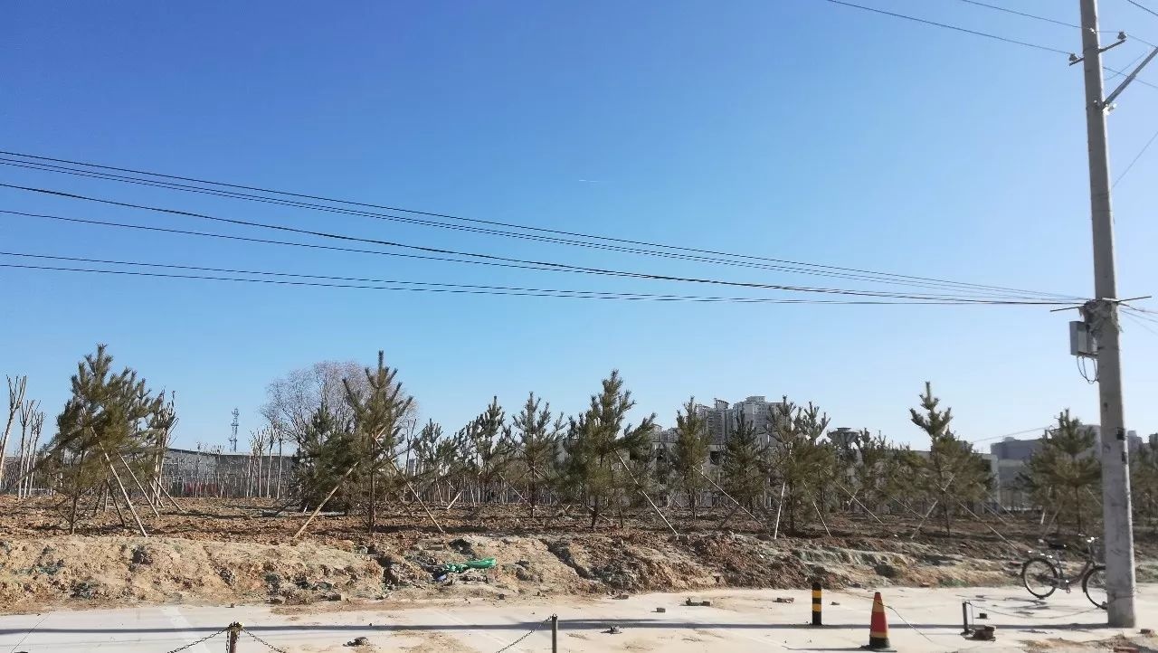 北京昌平区北七家镇东三旗村已被还绿地段