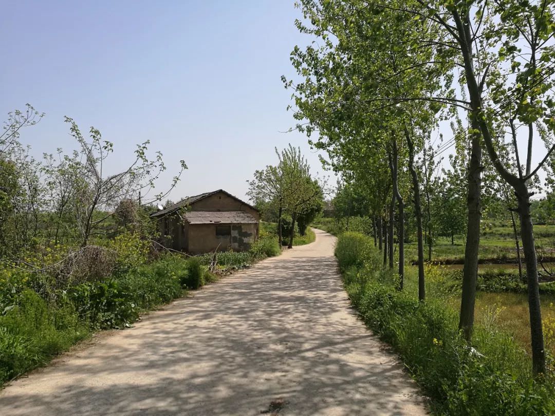 narrowroad