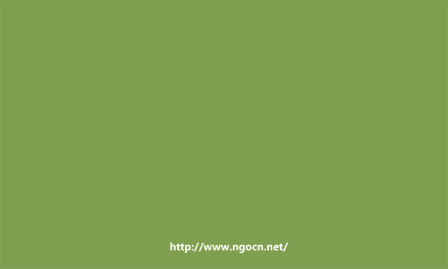 ngocn-13.gif