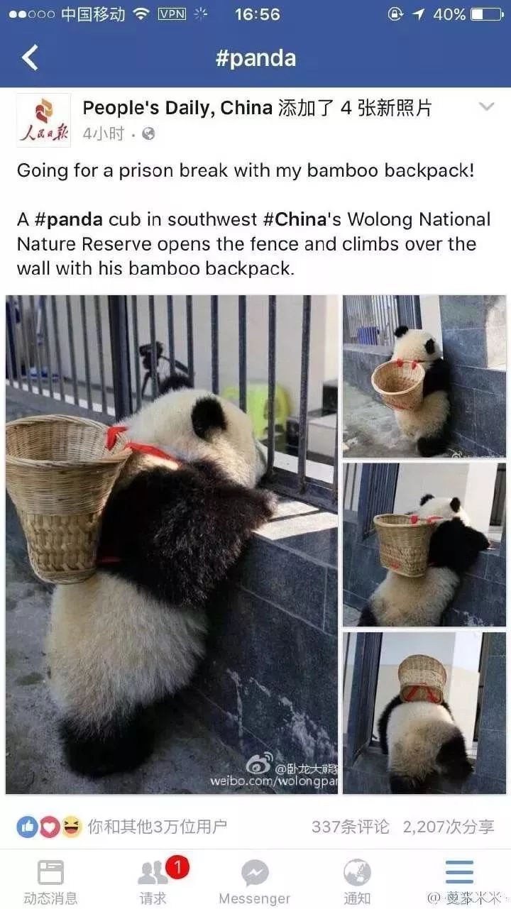 fb-panda.jpg