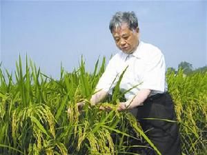 zhuyingguo