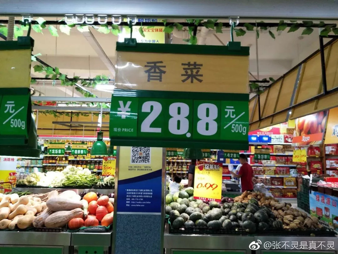 香菜