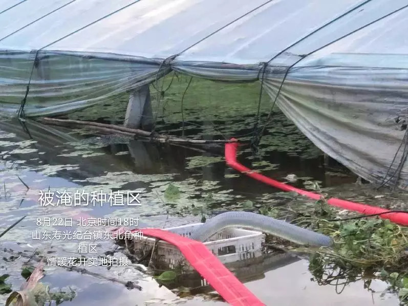 种植区