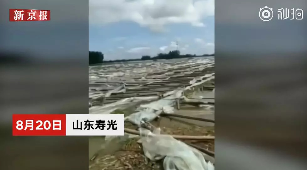 新京报