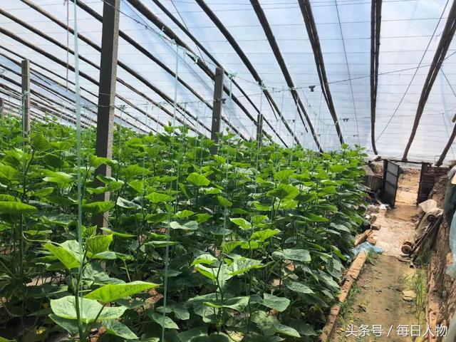 04.jpg