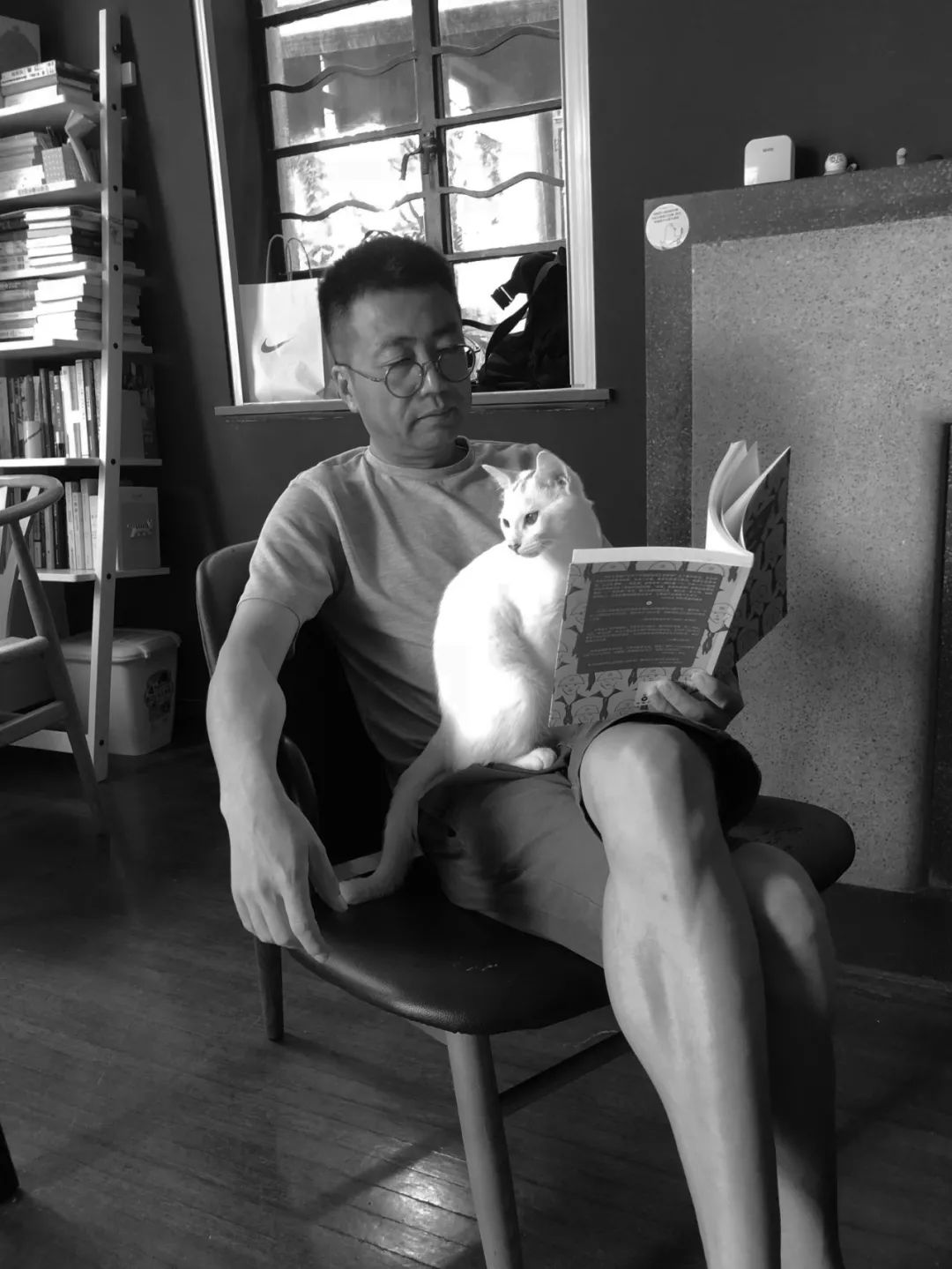 yixianfeng_cat.jpeg