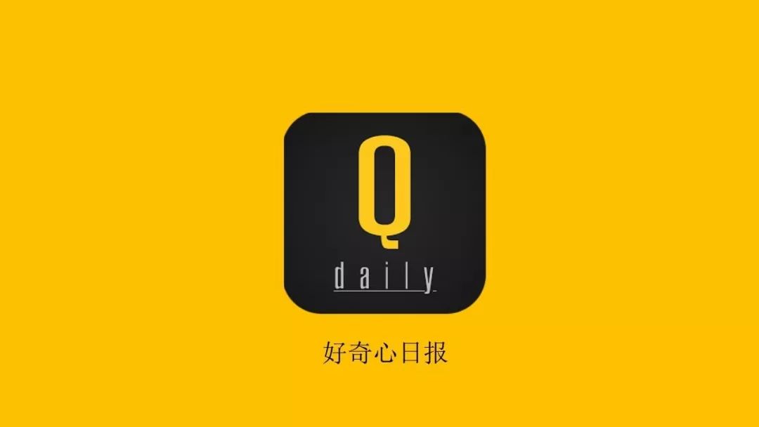 qdaily-logo.jpeg